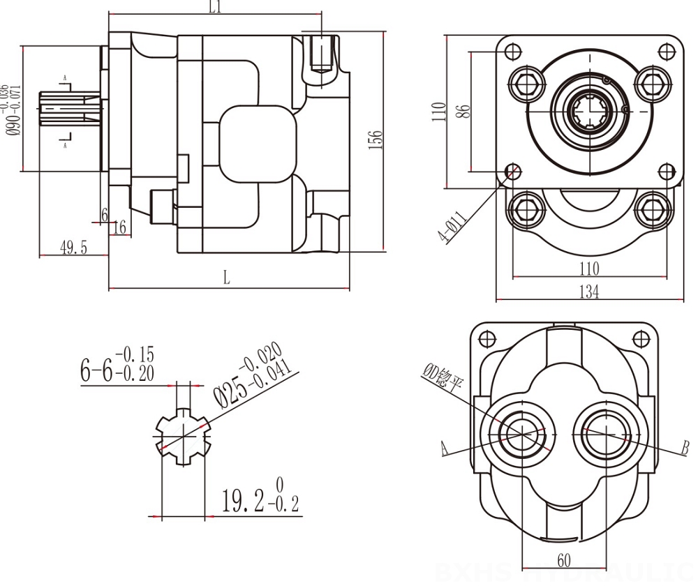 CBHS-F550 50 cc/rev 20 MPa (2900 psi) 液压齿轮泵 drawing image