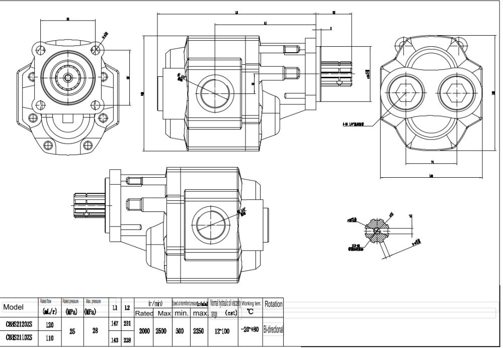 CBHST1-ISO-110 110 cc/rev 25 MPa (3625 psi) 液压齿轮泵 drawing image