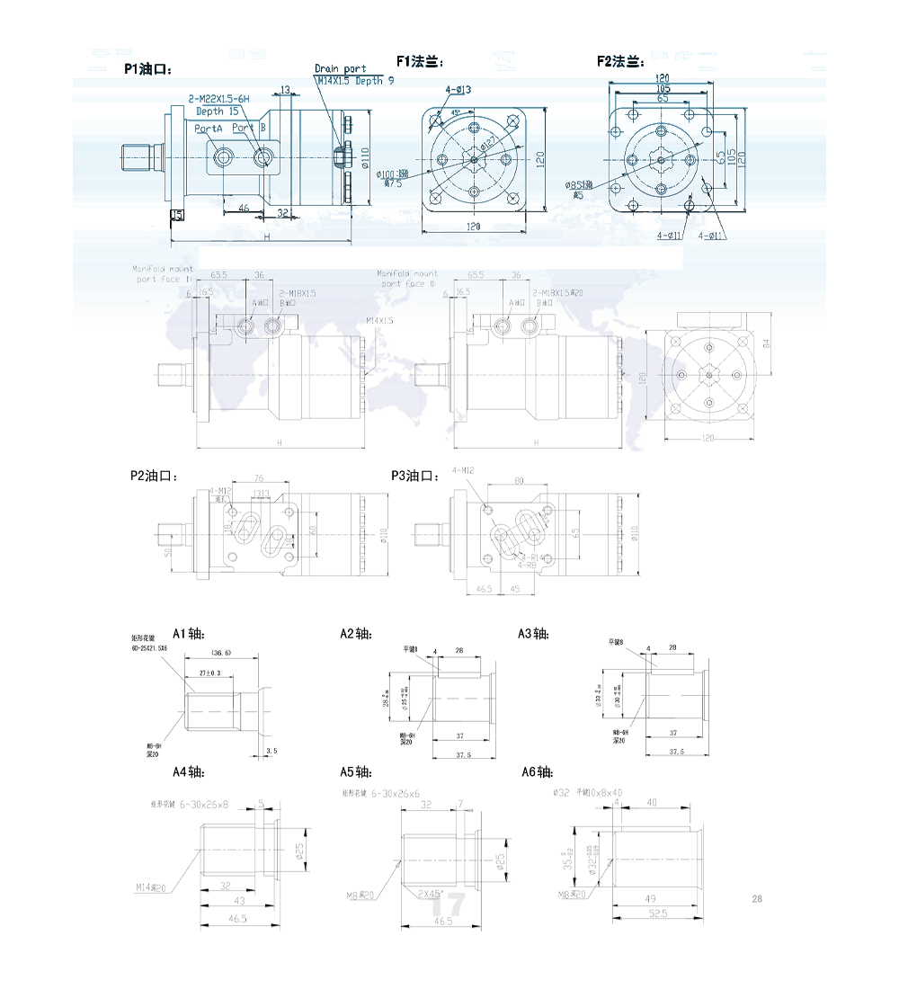 BM3_摆线液压马达 100 cc/r 50 Lpm 液压马达 drawing image